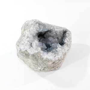 Large celestite crystal cluster 3.55kg | ASH&STONE Crystal Shop Auckland NZ