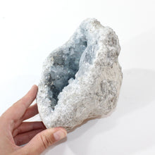 Load image into Gallery viewer, Large celestite crystal cluster 3.55kg | ASH&amp;STONE Crystal Shop Auckland NZ
