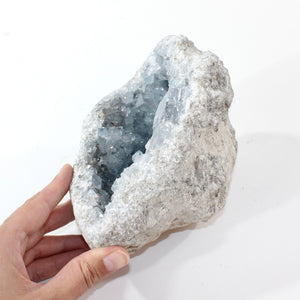 Large celestite crystal cluster 3.55kg | ASH&STONE Crystal Shop Auckland NZ