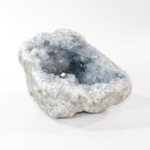 Large celestite crystal cluster 3.55kg | ASH&STONE Crystal Shop Auckland NZ