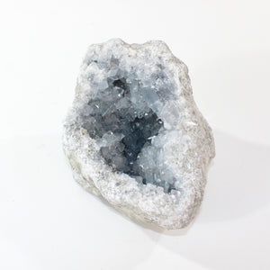 Large celestite crystal cluster 3.55kg | ASH&STONE Crystal Shop Auckland NZ