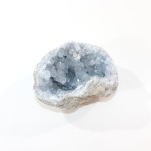 Load image into Gallery viewer, Celestite crystal cluster 1.28kg | ASH&amp;STONE Crystal Shop Auckland NZ
