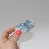 Celestite crystal cluster | ASH&STONE Crystals Shop Auckland NZ