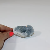 Celestite crystal cluster | ASH&STONE Crystals Shop Auckland NZ
