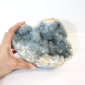 Large celestite crystal cluster - 3.24kg | ASH&STONE Crystals Shop Auckland NZ