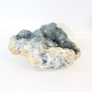 Large celestite crystal cluster - 3.24kg | ASH&STONE Crystals Shop Auckland NZ