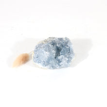 Load image into Gallery viewer, Celestite crystal cluster | ASH&amp;STONE Crystals Shop Auckland NZ
