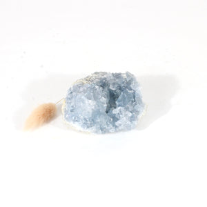 Celestite crystal cluster | ASH&STONE Crystals Shop Auckland NZ