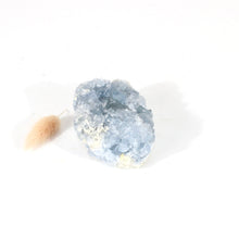 Load image into Gallery viewer, Celestite crystal cluster | ASH&amp;STONE Crystals Shop Auckland NZ
