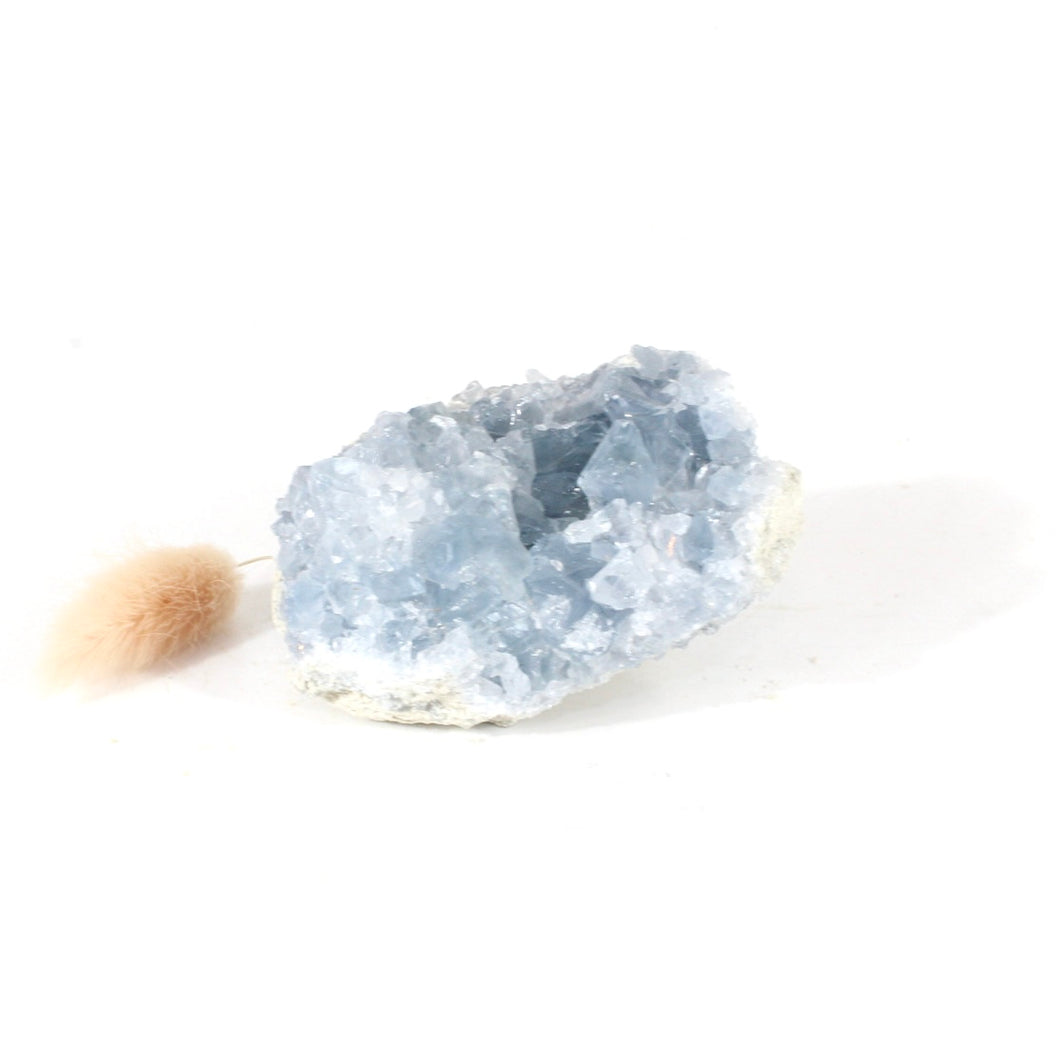 Celestite crystal cluster | ASH&STONE Crystals Shop Auckland NZ