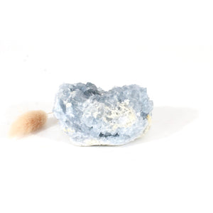 Celestite crystal cluster | ASH&STONE Crystals Shop Auckland NZ