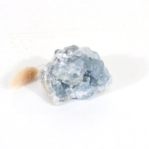 Celestite crystal cluster | ASH&STONE Crystals Shop Auckland NZ