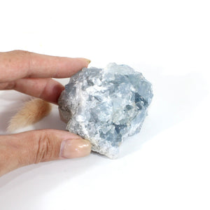 Celestite crystal cluster | ASH&STONE Crystals Shop Auckland NZ