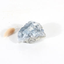 Load image into Gallery viewer, Celestite crystal cluster | ASH&amp;STONE Crystals Shop Auckland NZ
