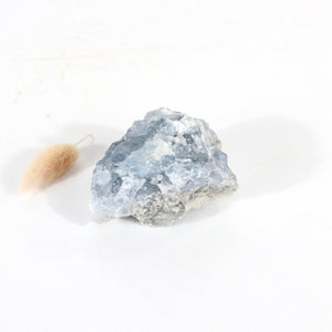 Celestite crystal cluster | ASH&STONE Crystals Shop Auckland NZ