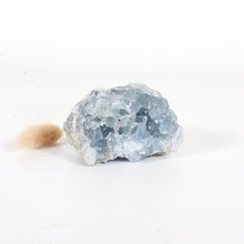 Load image into Gallery viewer, Celestite crystal cluster | ASH&amp;STONE Crystals Shop Auckland NZ
