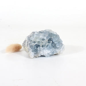 Celestite crystal cluster | ASH&STONE Crystals Shop Auckland NZ