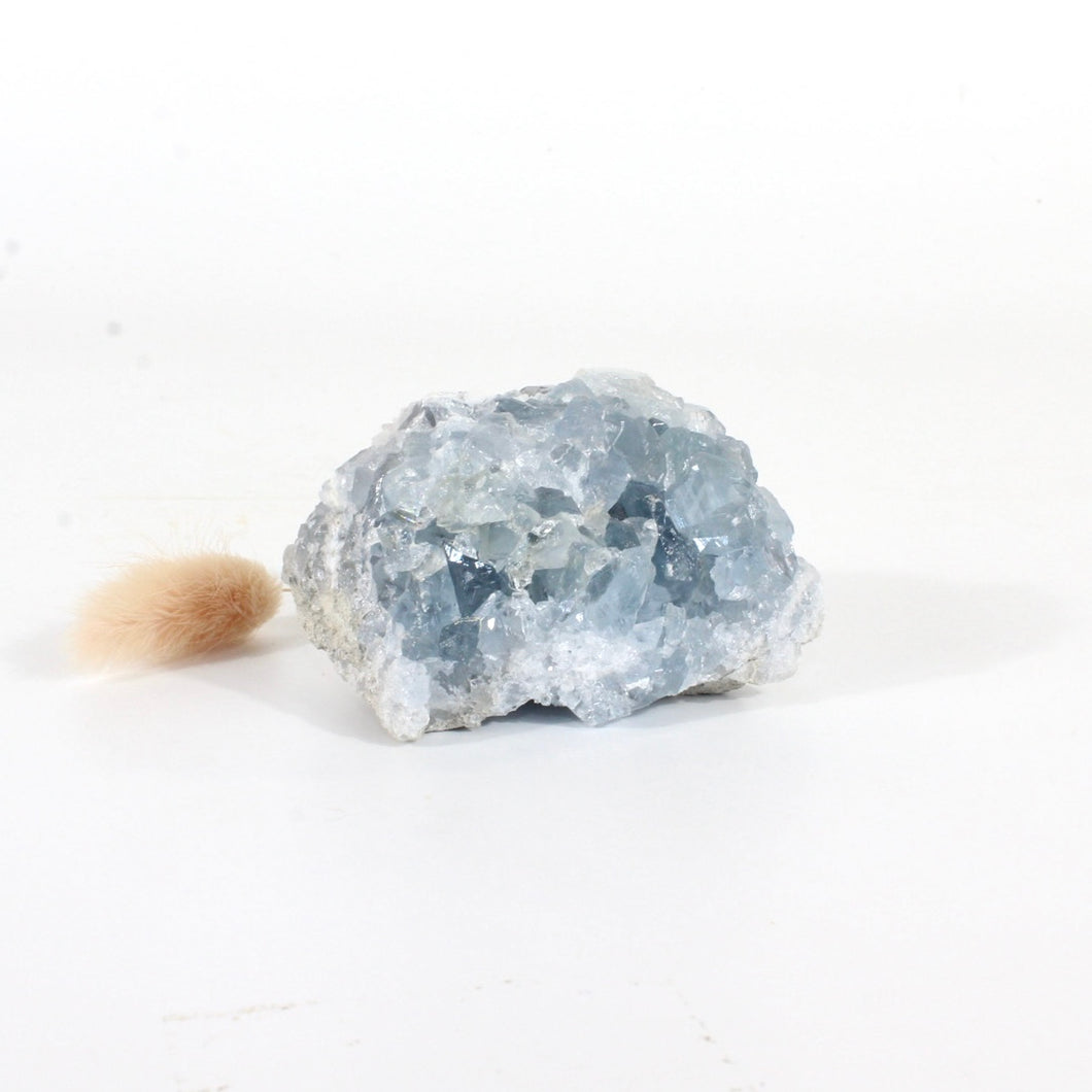 Celestite crystal cluster | ASH&STONE Crystals Shop Auckland NZ