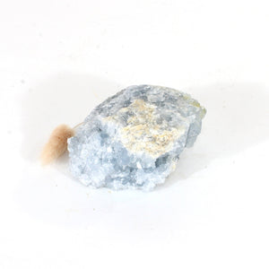 Celestite crystal cluster | ASH&STONE Crystals Shop Auckland NZ