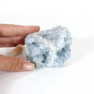 Celestite crystal cluster | ASH&STONE Crystals Shop Auckland NZ