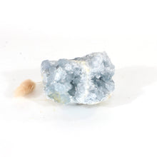 Load image into Gallery viewer, Celestite crystal cluster | ASH&amp;STONE Crystals Shop Auckland NZ
