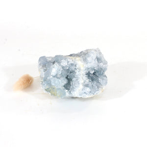 Celestite crystal cluster | ASH&STONE Crystals Shop Auckland NZ