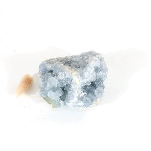 Celestite crystal cluster | ASH&STONE Crystals Shop Auckland NZ