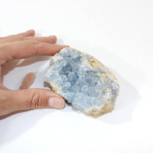 Celestite crystal cluster | ASH&STONE Crystals Shop Auckland NZ