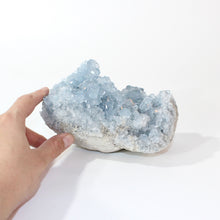 Load image into Gallery viewer, Large celestite crystal cluster 2.24kg | ASH&amp;STONE Crystals Shop Auckland NZ

