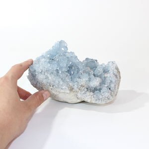 Large celestite crystal cluster 2.24kg | ASH&STONE Crystals Shop Auckland NZ