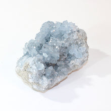 Load image into Gallery viewer, Large celestite crystal cluster 2.24kg | ASH&amp;STONE Crystals Shop Auckland NZ
