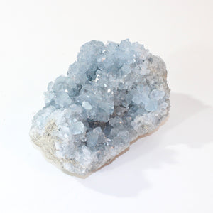 Large celestite crystal cluster 2.24kg | ASH&STONE Crystals Shop Auckland NZ
