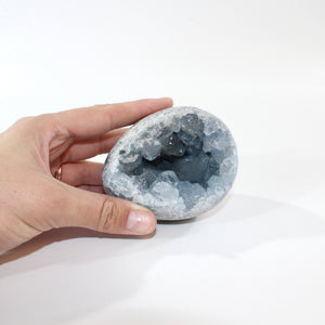 Celestite crystal cluster egg | ASH&STONE Crystal Shop Auckland NZ