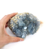Celestite crystal cluster | ASH&STONE Crystals Shop Auckland NZ