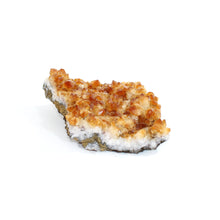 Load image into Gallery viewer, Citrine crystal cluster | ASH&amp;STONE Crystals Shop Auckland NZ
