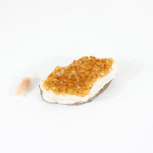 Citrine crystal cluster | ASH&STONE Crystals Shop Auckland NZ