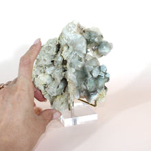 Load image into Gallery viewer, Clear quartz &amp; chlorite crystal cluster on stand | ASH&amp;STONE Crystals Shop Auckland NZ
