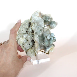 Clear quartz & chlorite crystal cluster on stand | ASH&STONE Crystals Shop Auckland NZ