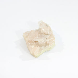 Himalayan clear quartz crystal cluster | ASH&STONE Crystals Shop Auckland NZ