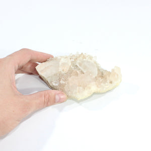 Himalayan clear quartz crystal cluster | ASH&STONE Crystals Shop Auckland NZ