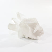 Load image into Gallery viewer, Clear quartz crystal cluster | ASH&amp;STONE Crystal Shop Auckland NZ
