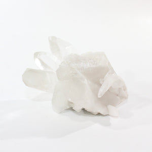 Clear quartz crystal cluster | ASH&STONE Crystal Shop Auckland NZ