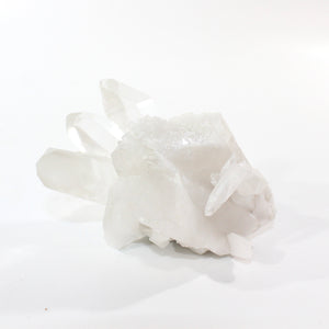 Clear quartz crystal cluster | ASH&STONE Crystal Shop Auckland NZ