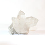 Clear quartz crystal cluster | ASH&STONE Crystal Shop Auckland NZ