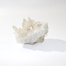 Load image into Gallery viewer, Clear quartz crystal cluster 1.06kg | ASH&amp;STONE Crystals Shop Auckland NZ
