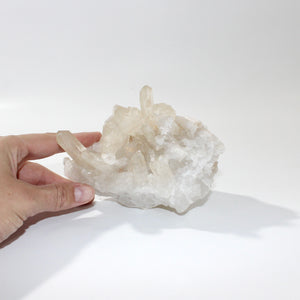 Clear quartz crystal cluster 1.06kg | ASH&STONE Crystals Shop Auckland NZ