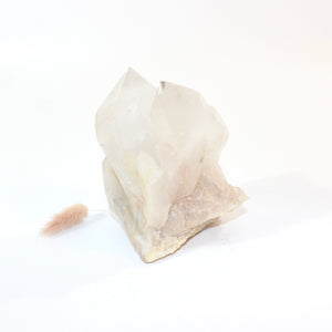 Clear quartz crystal clustered point | ASH&STONE Crystals Shop Auckland NZ
