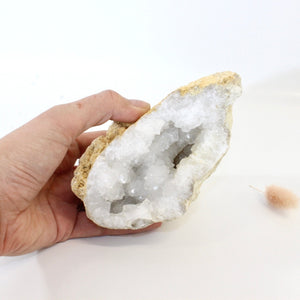 Clear quartz crystal geode half | ASH&STONE Crystals Shop Auckland NZ