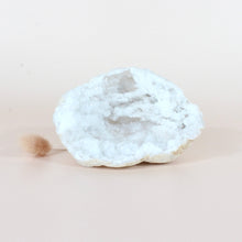 Load image into Gallery viewer, Clear quartz crystal geode half | ASH&amp;STONE Crystals Shop Auckland NZ
