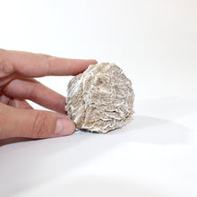 Load image into Gallery viewer, Desert rose crystal cluster | ASH&amp;STONE Crystals Shop Auckland NZ
